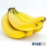 [특]바나나 13kg